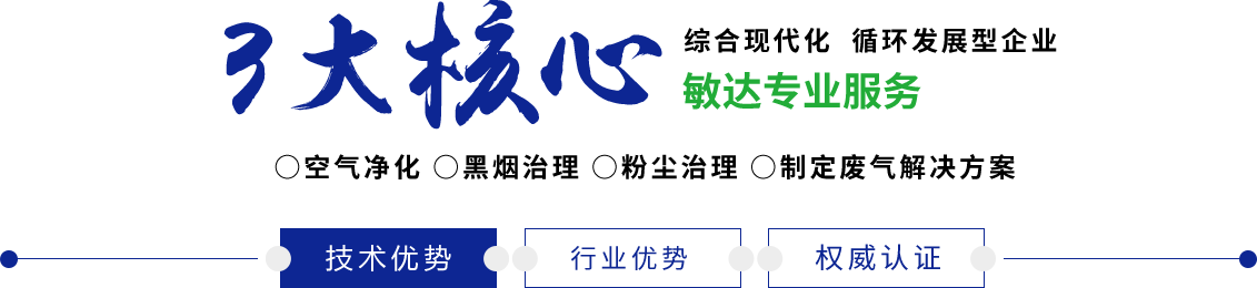 操逼视频奶白敏达环保科技（嘉兴）有限公司